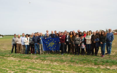 Presentación de resultados sobre la adaptación al cambio climático de cultivos herbáceos en la Región Mediterránea