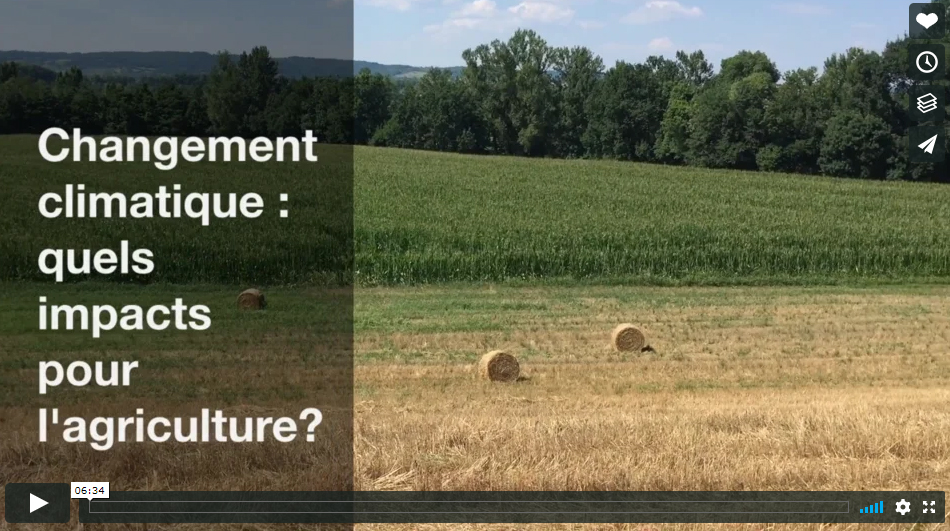 Vidéo: regards d’experts sur l’adaptation de l’agriculture au changement climatique.