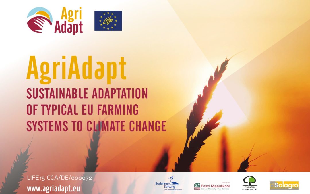 LIFE Agriadapt, technical meeting in Brussels (15th of october 2018)