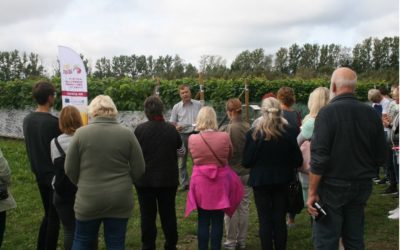 Kann Estland ein Weinanbaugebiet werden?