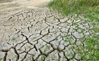 Taller “El cambio climático y sus consecuencias”