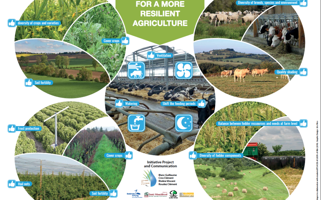 Two LIFE AgriAdapt educational posters on the impact of climate change in agriculture and the adaptation levers to be implemented